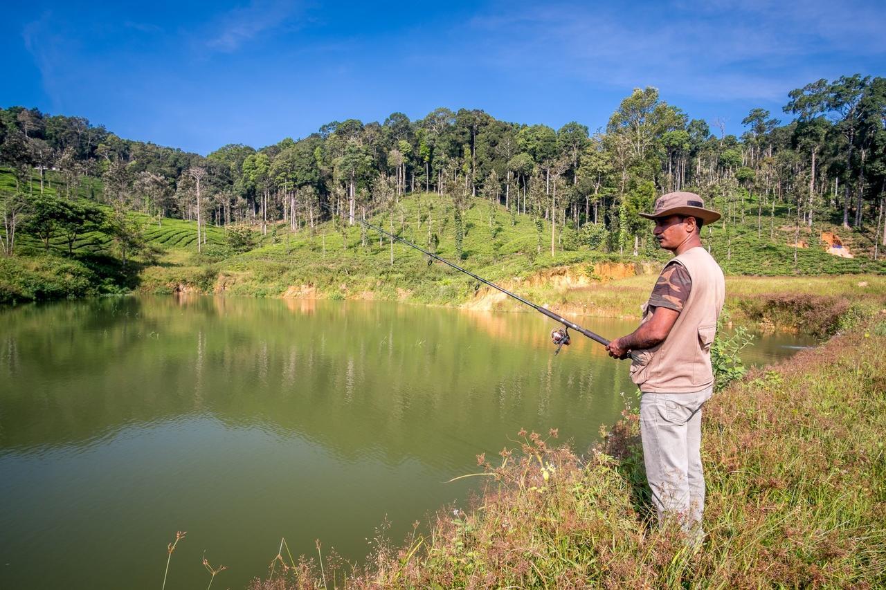 Wild Planet Jungle Resort Devāla Buitenkant foto