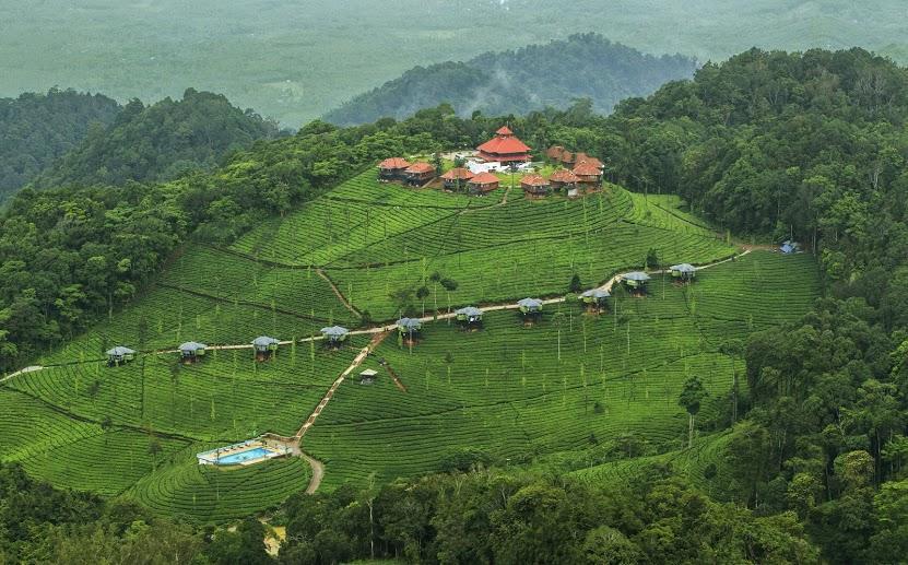 Wild Planet Jungle Resort Devāla Buitenkant foto