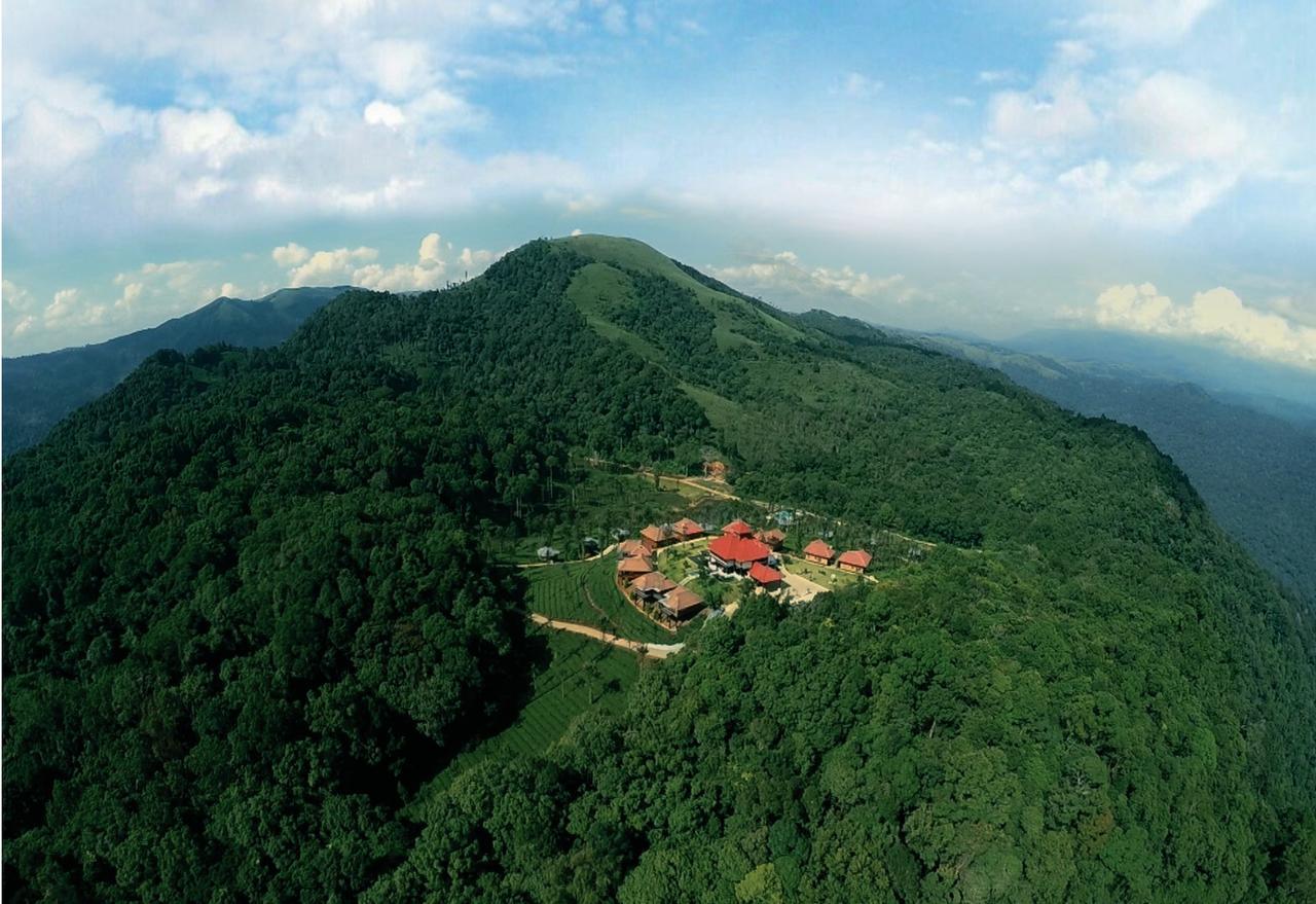 Wild Planet Jungle Resort Devāla Buitenkant foto