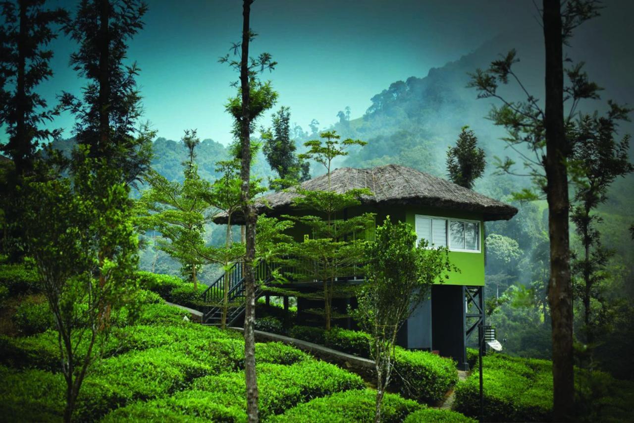 Wild Planet Jungle Resort Devāla Buitenkant foto